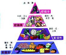 營養金字塔結構