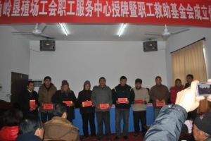 八角嶺墾殖場 八角嶺墾殖場