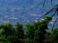 白龍井村 白龍井村