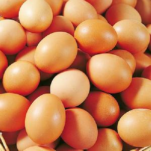 （圖）雞蛋