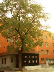 北京市第九中學  校訓