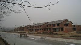 桃李村[雲南省峨山縣雙江鎮桃李村]