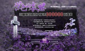 紫金草行動 紫金草行動