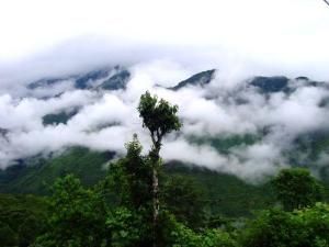 西藏墨脫 西藏墨脫