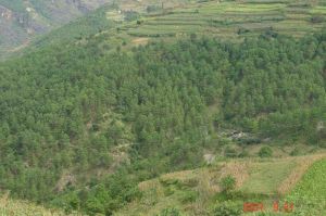 中華羅家村 中華羅家村