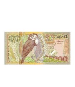 蘇利南盾 蘇利南盾