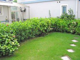 康橋名郡 康橋名郡