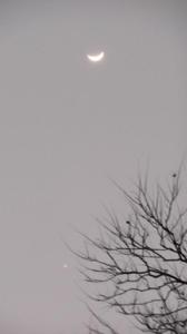 初五的新月（公曆2012年02月26日西湖岳湖）