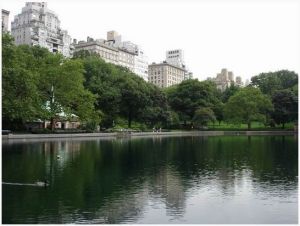 紐約中央公園