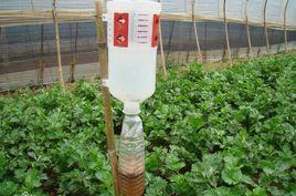 綠色防控 綠色防控