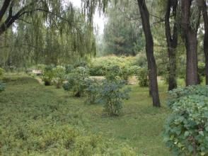 青冢村[河南鄧州市裴營鄉下轄]