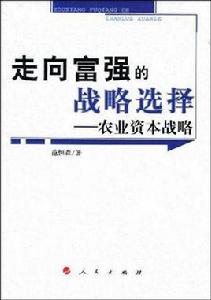 走向富強的戰略選擇
