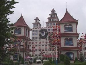 岫巖滿族自治縣