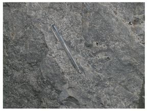 台地潮坪相 台地潮坪相