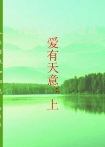 愛有天意:上 愛有天意:上
