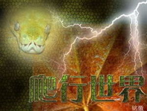 《爬行世界》 《爬行世界》