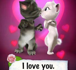 湯姆貓的情書 湯姆貓的情書