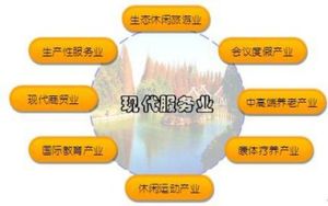 經濟服務化 經濟服務化