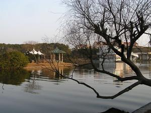 上海濱海公園