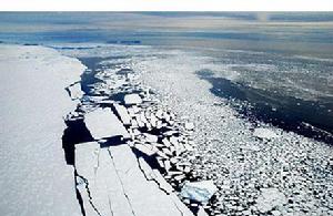 花似錦的南極海冰邊緣