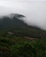 亞龍灣森林公園