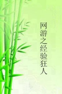 網遊之經驗狂人 網遊之經驗狂人
