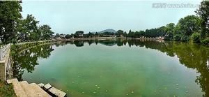 九龍攢珠 九龍攢珠