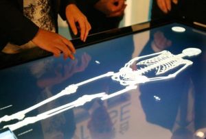 虛擬解剖台 虛擬解剖台