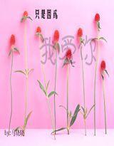 只是因為我愛你