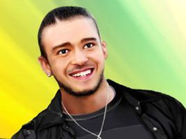 好萊塢榮譽 好萊塢榮譽