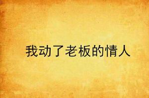 我動了老闆的情人 我動了老闆的情人