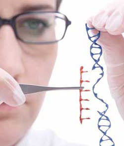 個體化醫學 個體化醫學