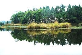 楊橋鎮[四川省南充市儀隴縣楊橋鎮]