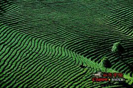 民安村[雲南省寧洱縣寧洱鎮下轄村]