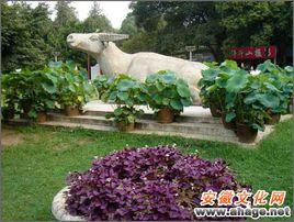 巢湖市臥牛山公園 巢湖市臥牛山公園