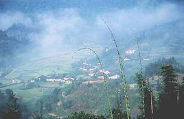 廣西盆地 廣西盆地