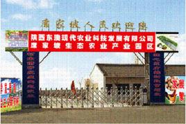 席家坡村 席家坡村