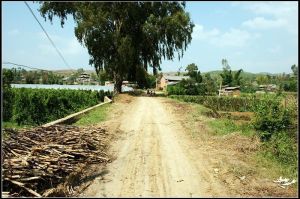 張遷海灣村 張遷海灣村