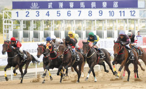 武漢速度賽馬公開賽