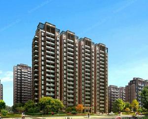 羅曼風情 羅曼風情