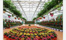 九豐農業綜合體