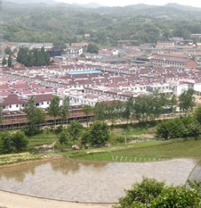 東河口鎮 東河口鎮