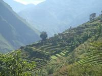 楚雄市八角鎮大麥地村委會小水田村村莊全貌