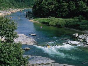 化學測流量法 化學測流量法