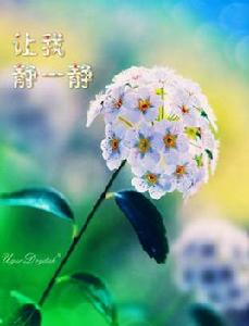 讓我靜一靜 讓我靜一靜