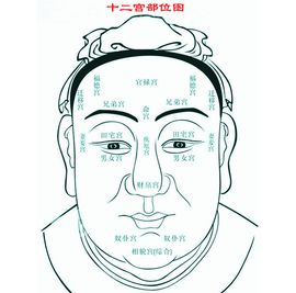 十二命宮 十二命宮