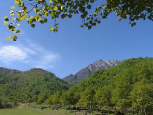 蓮花山自然保護區