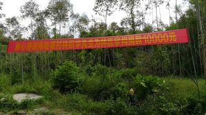 南地坡村林氏宗親為重建林氏大宗祠捐款