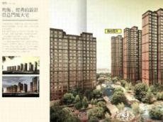 曲江風景線 曲江風景線