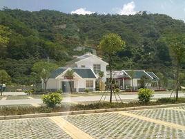 東莞清溪森林公園 東莞清溪森林公園